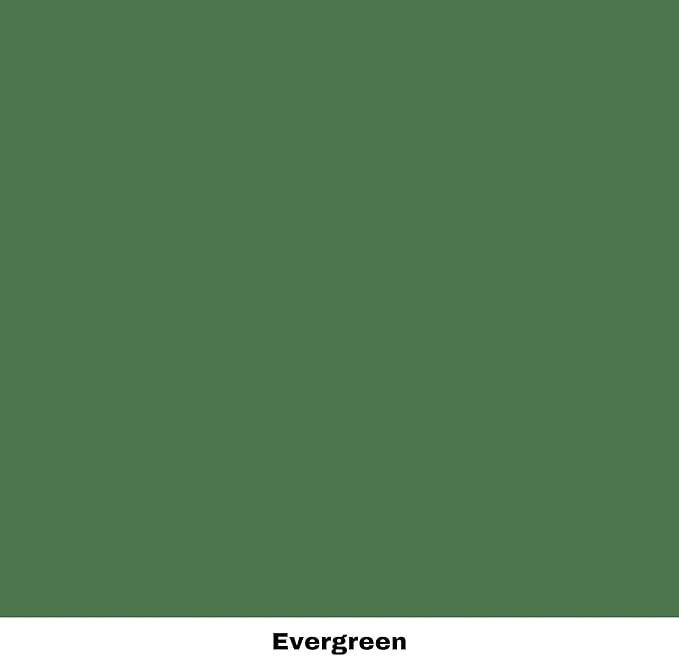 Dixie Belle Paint Company Chalk Finish Furniture Paint - Evergreen (4oz) - Matte Bold Green Chic Chalk Mineral DIY Furniture Paint