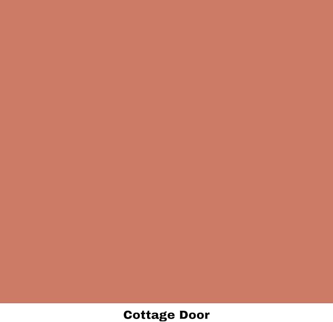 Dixie Belle Paint Company Chalk Finish Furniture Paint - Cottage Door (32oz) - Matte Dusty Coral Chic Chalk Mineral DIY Furniture Paint