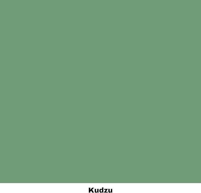 Dixie Belle Paint Company Chalk Finish Furniture Paint - Kudzu (4oz) - Matte Natural Green Chic Chalk Mineral DIY Furniture Paint