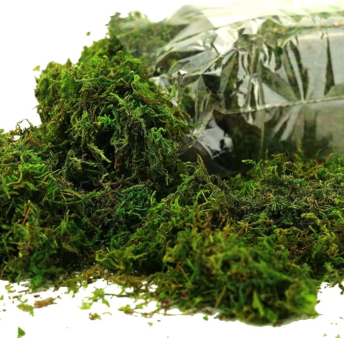 Moss for Plants Indoor, 16OZ Fresh Green Artificial Moss for DIY Crafts, Table Centerpieces- Faux Grass for Hamsters Micro-Landscape Terrariums Centerpieces Decor (Fresh Green)