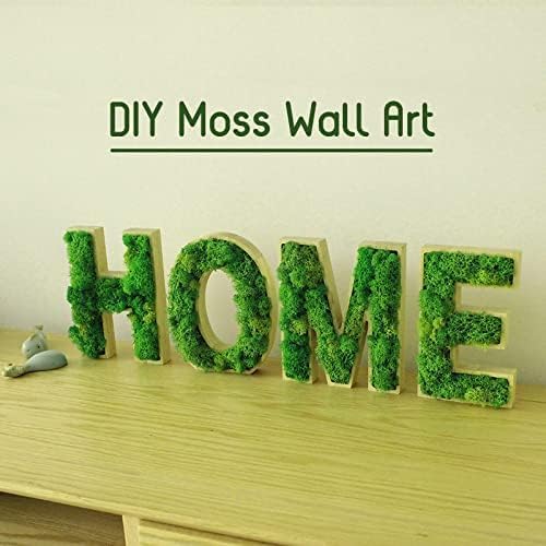 Preserved Reindeer Moss Natural Green DIY Kit Gardenning Art Wall Decor Florist Decor Easter Table Decor Wedding