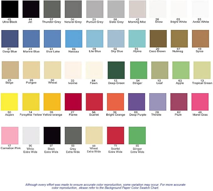 Yizhily Seamless Photography Photo Backdrop Background Paper Roll for Photoshoot 53 inches Wide x 16 feet Long, Stinger