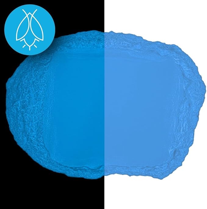 Glow in The Dark Pigment Powder - Neutral and Fluorescent Color for Art Painting, Fine Art, Nail Art Paint, and DIY Crafts - Long Lasting 10+ Color Options - Fluorescent Blue - (1 Kilogram)