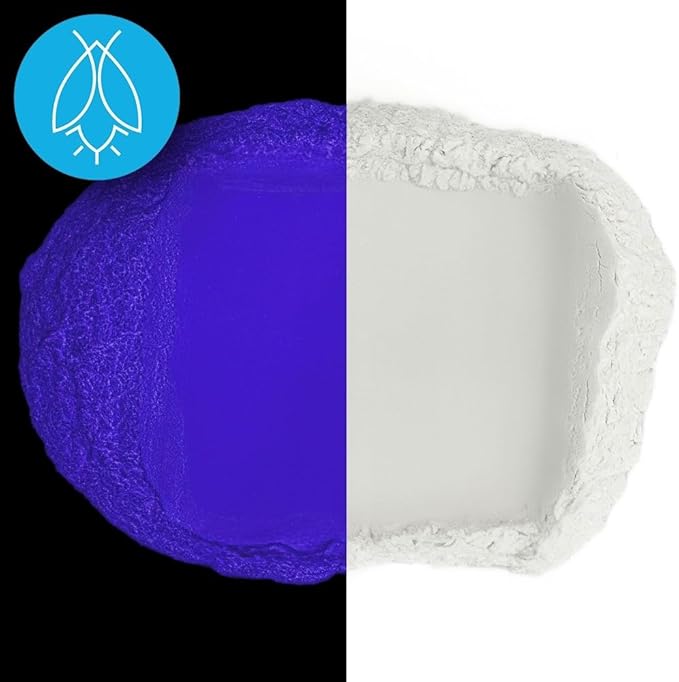Glow in The Dark Pigment Powder - Neutral and Fluorescent Color for Art Painting, Fine Art, Nail Art Paint, and DIY Crafts - Long Lasting 10+ Color Options - Neutral Dark Blue (1 Kilogram)