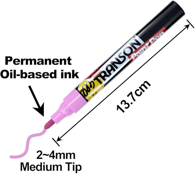 TRANSON 12 Colors Permanent Paint Markers for Fabric Rock Craft Diy Painting Medium Tip Oil Based Waterproof