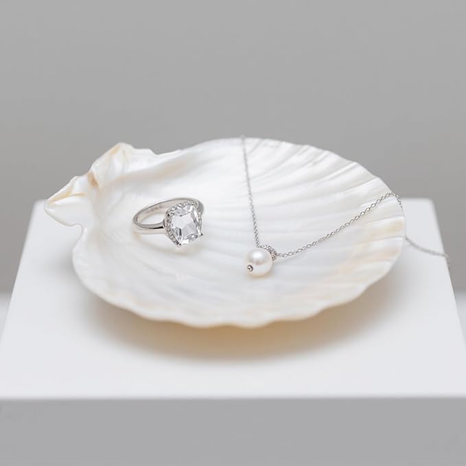 YOUKE OLA 60PCS Scallop Shells for Crafts Large Beach Natural Shells Bulk for Decoupage DIY Crafts Seashell Decorations Home Decor White 4''-4.5''