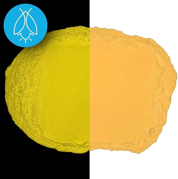 Glow in The Dark Pigment Powder - Neutral and Fluorescent Color for Art Painting, Fine Art, Nail Art Paint, and DIY Crafts - Long Lasting 10+ Color Options - Fluorescent Orange - (8 Ounce)