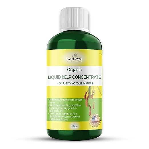 Organic Premium Kelp Seaweed Fertilizer: Indoor Plant Fertilizer & Carnivorous Plant Food for Venus Flytraps, Sundews, Drosera Capensis,Pitcher Plants,Butterworts & Other (16 OZ)