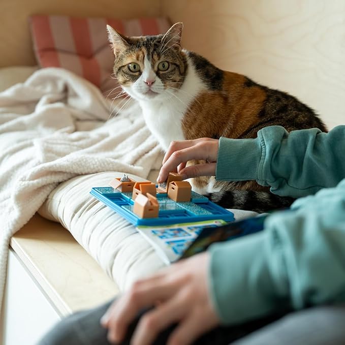 SmartGames Cats & Boxes Travel Game with 60 Challenges for Ages 7-Adult