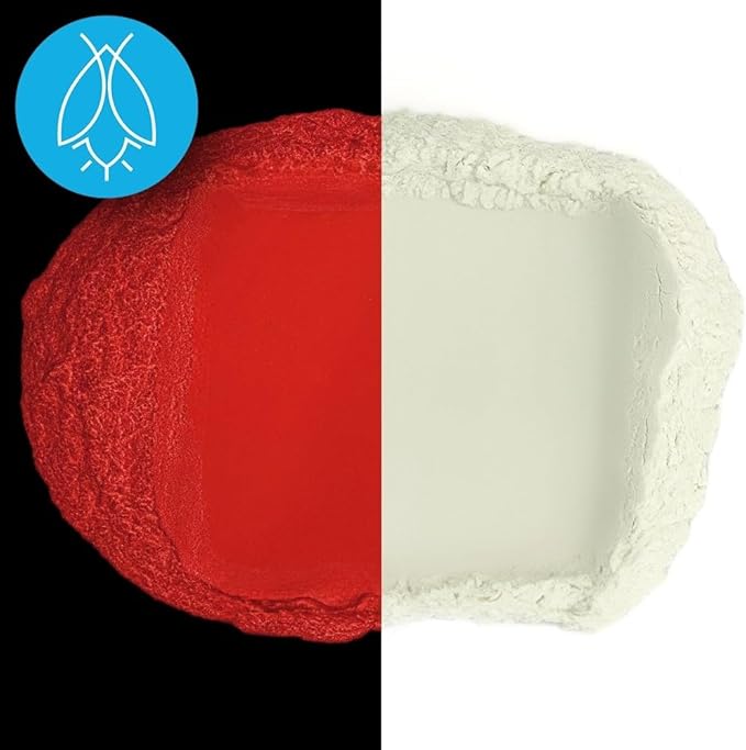 Glow in The Dark Pigment Powder - Neutral and Fluorescent Color for Art Painting, Fine Art, Nail Art Paint, and DIY Crafts - Long Lasting 10+ Color Options - Neutral Red - (30 Grams/1 Ounce)