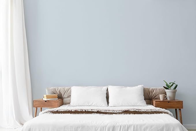 EVOLVE Paint & Primer: Environment-friendly, Low Sheen with One-coat Coverage for Interior & Exterior surfaces (Pale Blue, 1-Gallon)