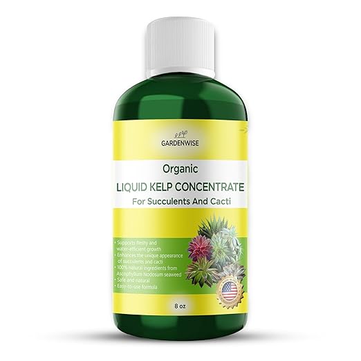 Organic Kelp Seaweed Fertilizer: Premium Succulent and Cactus Food - Indoor Plant Nutrition with Root Booster, Ideal for Christmas Cactus, Dragon Fruit, and Potted Plants (8 OZ)