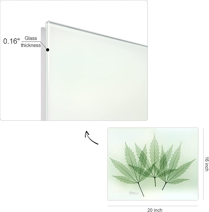 Empire Art Direct Frameless Free Floating Tempered Glass Panel Graphic Wall Art Ready to Hang, 16" x 20", Green Flower