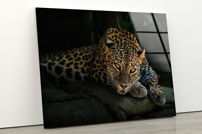 My Photostation.com 35.5Wx30H'' Fierce Leopard Glass Wall ArtTempered Glass Printing Wall Decor Large Wall Art Wall Hangings
