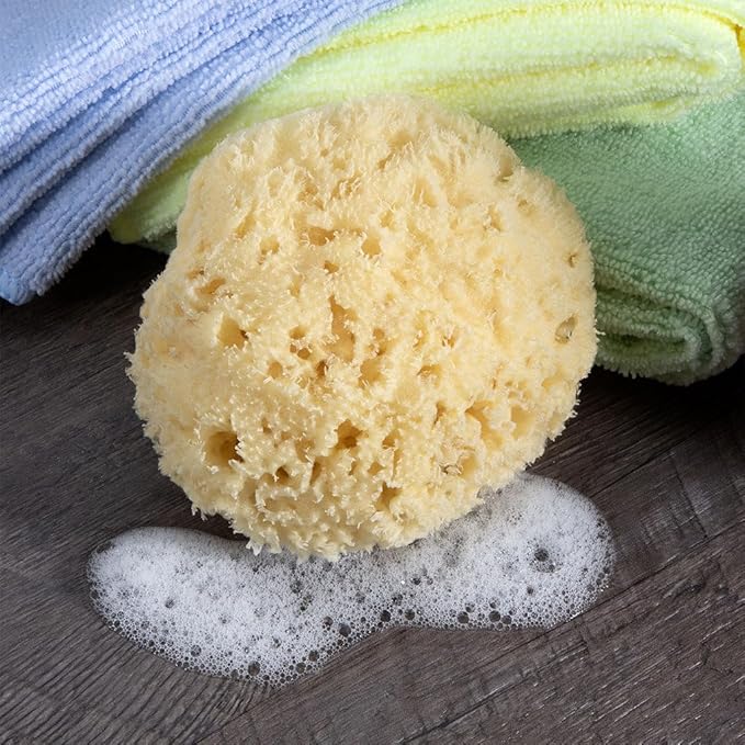 Sea Wool Sponge - All Natural Honeycomb Renewable Sea Sponge, Medium, Approx. 4 Inches