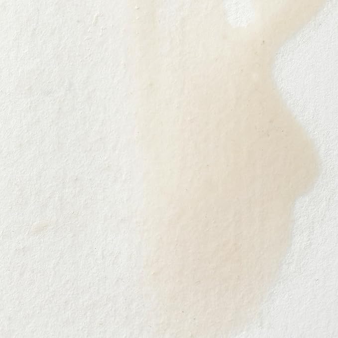 Winsor & Newton Professional Water Colour Paint, Half Pan, Chinese White