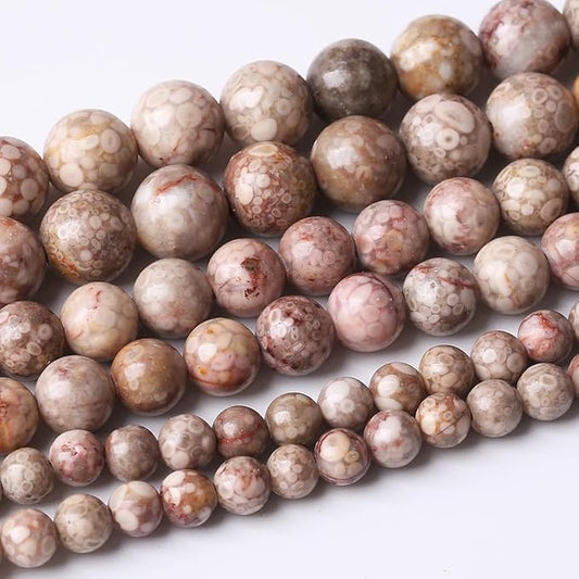 48PCS 8MM Natural Flowery Cowry Fossil Stone Beads Energy Healing Beads for DIY Jewelry Bracelet Necklace Making for Jewelry Making15Inch