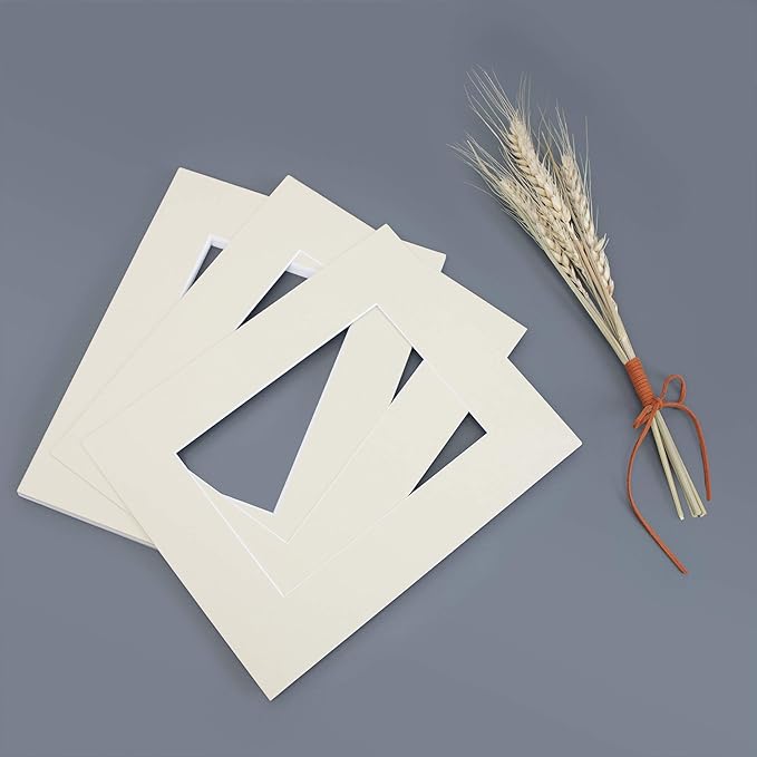 Mat Board Center, Pack of 10, 11x14 Mats for 8x10 Photos Light Gray Color - Bevel Cut, Acid Free, 4-ply Thickness, White Core - for Pictures, Photos, Framing