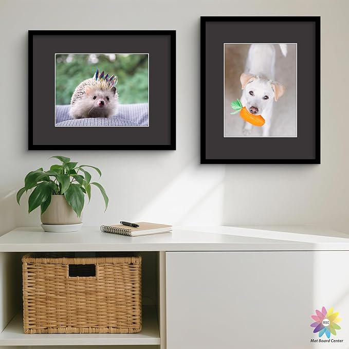 Mat Board Center, Pack of 25, 16x20 for 11x14 Black Mats - Acid Free, 4-ply Thickness, White Core - for Pictures, Photos, Framing
