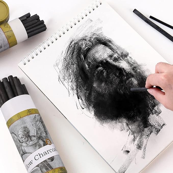 LOONENG Willow Charcoal Sticks, Natural Willow Charcoal for Artists, Beginners, or Students of All Skill Levels, Great for Sketching, Drawing, and Shading, Approx 2-4mm in Diameter, Pack of 25