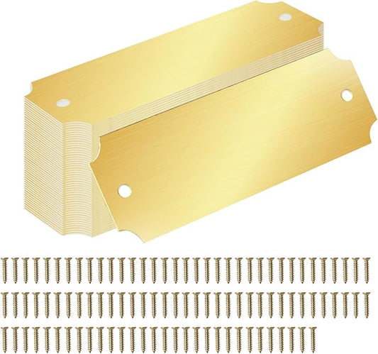 40 Pcs Name Plates Laser Engraved Solid Brushed Metal Plate with 100 pcs Screws Tag Frame Name Custom Name Personalized Plaque Blank Label with Screws and Adhesive Backing for DIY (1'' X 3'')