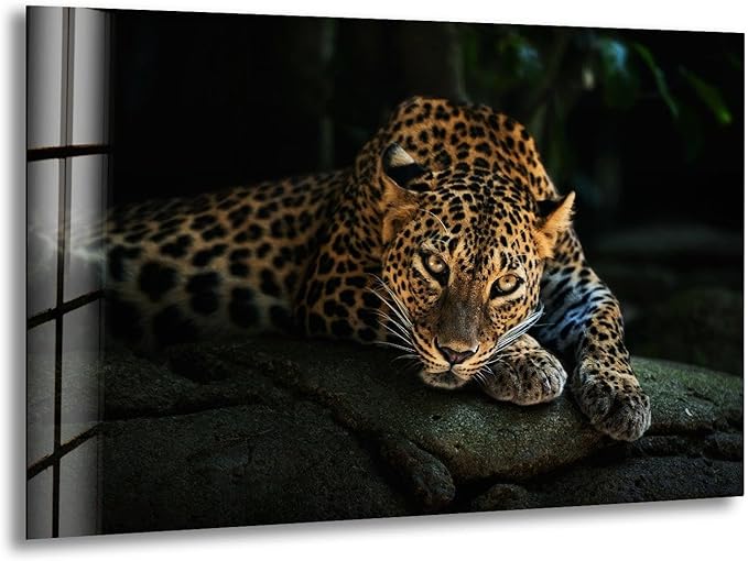My Photostation.com Round 31,5'' Fierce Leopard Glass Wall ArtTempered Glass Printing Wall Decor Large Wall Art Wall Hangings
