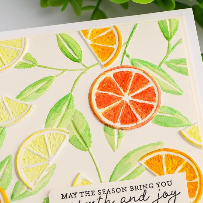BAOFALI 3D Embossing Folders Lemon Textured for Card Making,Embossing Template Paper Card Embossing Stencil for DIY Scrapbooking Photo Album Card Paper Craft Decoration 6.3" L x 4.5" W