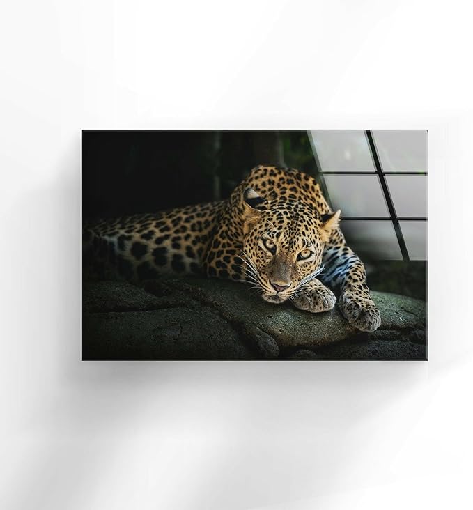 My Photostation.com 20Wx14H'' Fierce Leopard Glass Wall ArtTempered Glass Printing Wall Decor Large Wall Art Wall Hangings