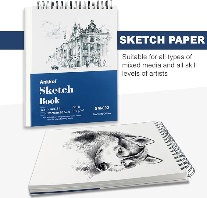 9" x 12" Sketch Book Set, Drawing Paper Pad (68lb/100gsm), 2-Pack Top Spiral Bound Sketch Pad, Double-Sided Hardcover Sketchbook, Art Notebooks Drawing for Kids, Beginners and Artists,100 Sheets Each.