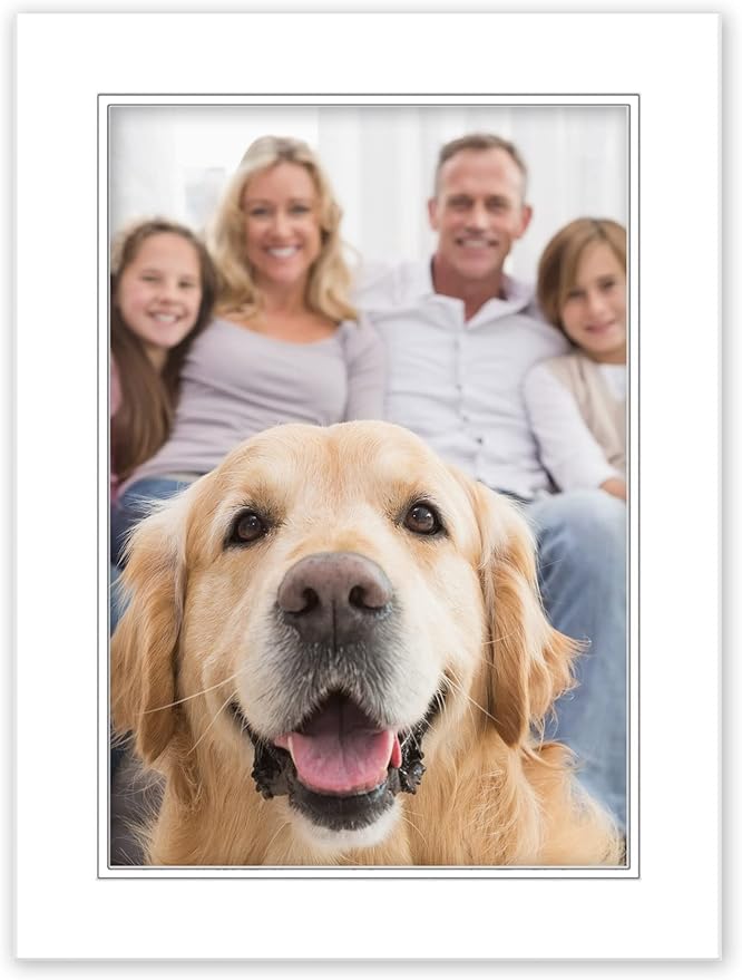 20x20 Mat for 12x12 Photo - Precut White on White Double Mat Picture Matboard for Frames Measuring 20 x 20 Inches - Bevel Cut Matte to Display Art Measuring 12 x 12 Inches - Acid Free ONE MAT