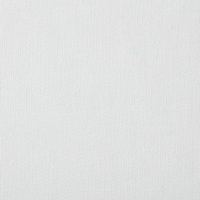 Centurion Deluxe Professional Oil Primed Linen Stretched Canvas, 11oz Linen, 20x24 - Box of 6, 0.67" Deep Canvases, Kiln-Dried Stretchers, Back Stapled, Premium Medium Weight Canvas for Oil Paintings