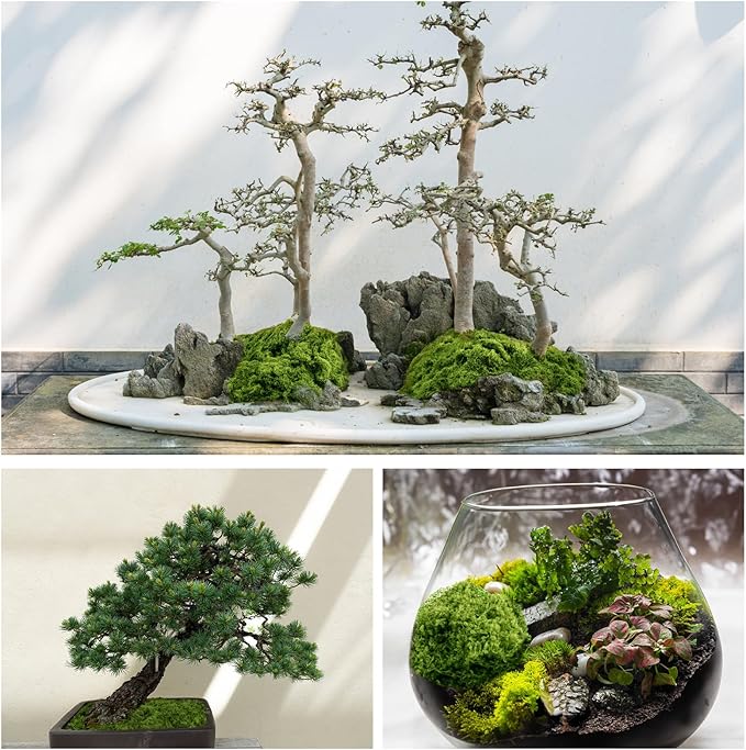 Fake Green Moss for Potted Plants, 10.6OZ Moss Decor Artificial Faux Moss for Crafts Preserved Moss for DIY Decorative Moss Table Centerpieces Decor Fairy Garden Floral Wedding (300g) (Dark Green)