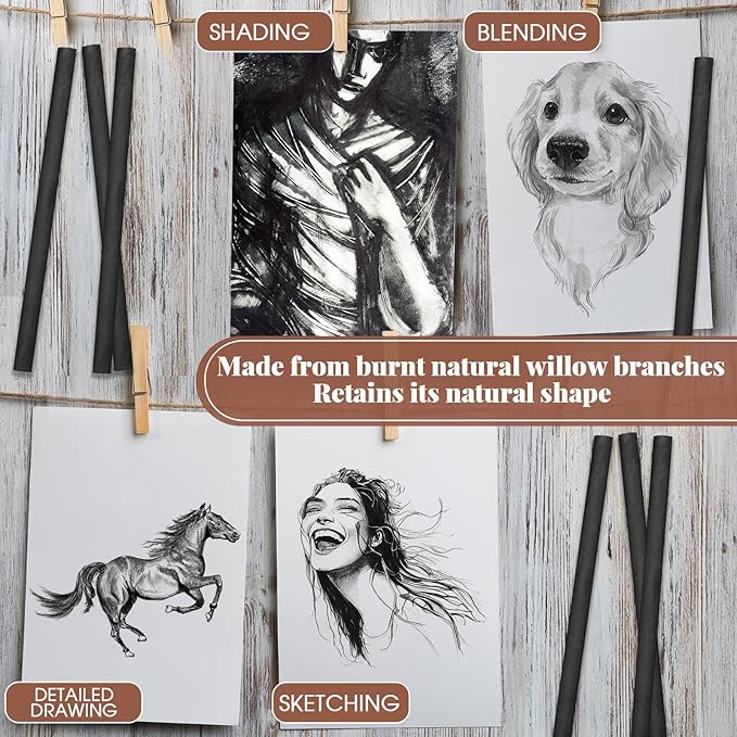 Gueevin 25 Pcs Willow Charcoal Sticks, Willow Charcoal, Artists, Beginners, Students, Perfect for Sketching, Drawing, Shading, and Fine Art Christmas Gifts for Art (5-7mm)