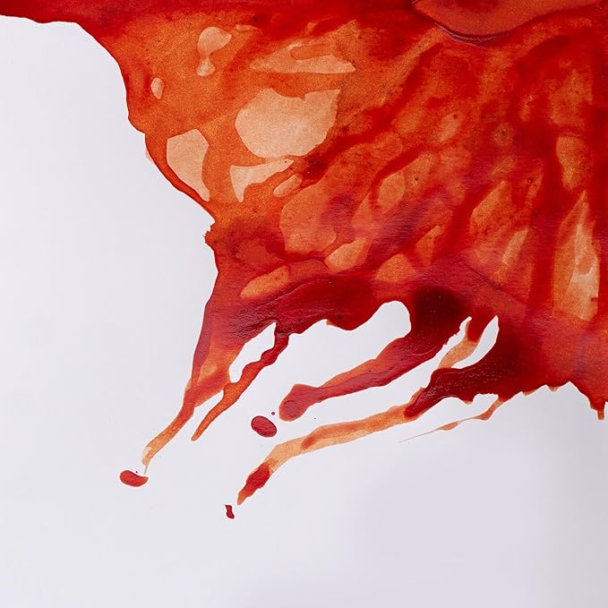 Winsor & Newton Drawing Ink, 14ml Bottle, Burnt Sienna