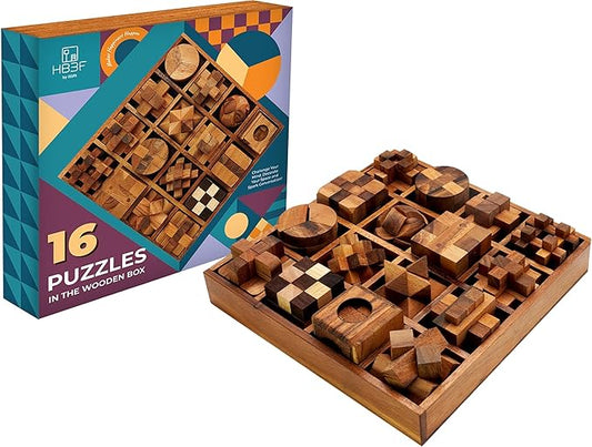 BSIRI 16 in 1 Wooden Brain Teaser Puzzles for Adults and Teens or Kids Interlocking 3D Mini Wood Mind Games Hand Puzzle Teasers Set Toys Coffee Table Games Gift