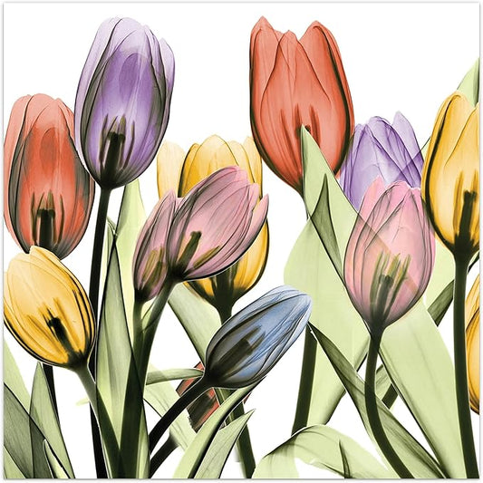 Empire Art Direct Frameless Free Floating Tempered Glass Panel Graphic Wall Art Ready to Hang, 24" x 24", Tulip Scape x-ray I