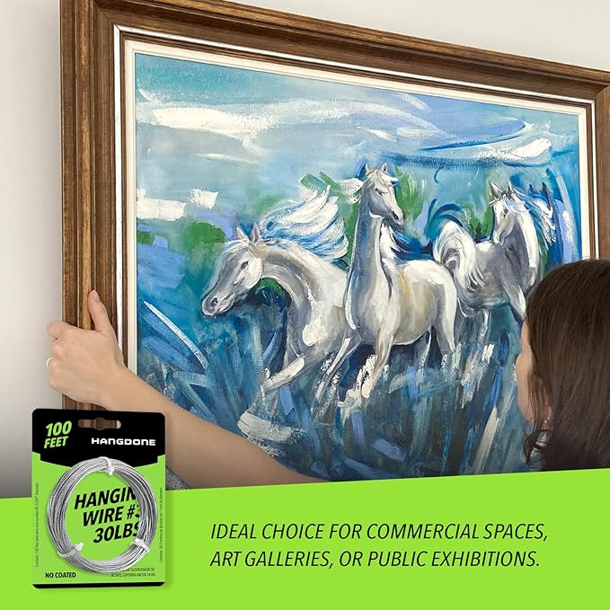 Picture Hanging Wire #3 30lbs 100-Feet, Flexible Steel Wire 18 Gauge for Hang Up Frame/Painting and Mirror