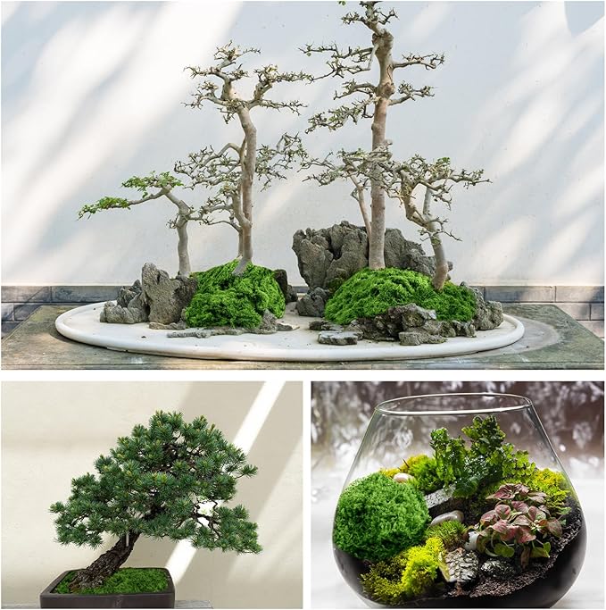 Draupnir Fake Green Moss for Potted Plants, 10.6OZ Fake Moss for Plants Indoor,Faux Moss for Crafts Artificial Moss Decor, DIY Decorative Moss for Fairy Garden Glass Containers Wedding (300g)