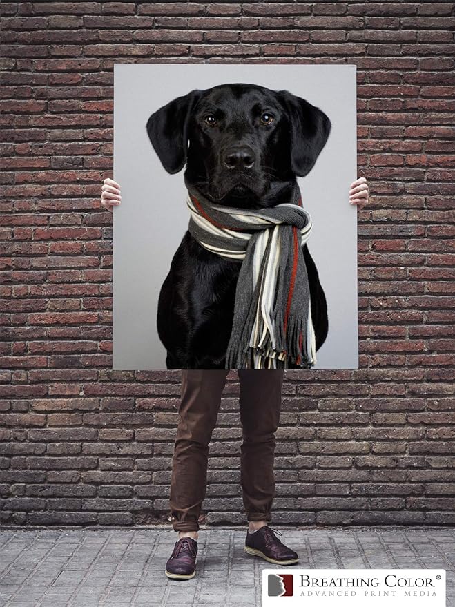Premium Lyve Matte Canvas Paper Perfect For Use on Professional Makes and Models of Epson, Canon and HP printers preferred by Professionals. 19 mil textured Canvas offered in a 64 inch by 40 ft roll