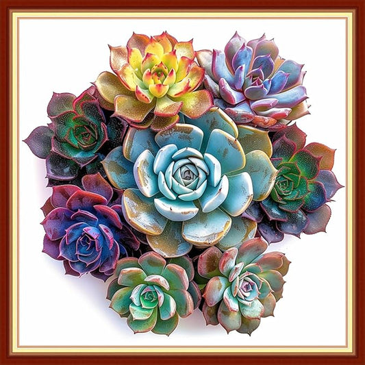 Dimensean Stamped Cross Stitch Kits Full Range of Embroidery Patterns Starter Kits for Beginners Adult or Kids DIY Cross Stitches Needlepoint Kits 11CT-Succulent Plants 18x18 inch