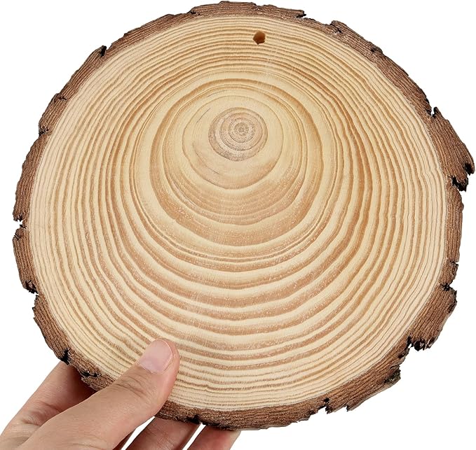 JEUIHAU 8 PCS 7-8 Inches Natural Wood Slices with Holes, Unfinished Predrilled Wooden Circles Tree Bark Slice, Blank Wooden Log Circles for DIY Crafts, Arts Wood Slices, Christmas Ornaments