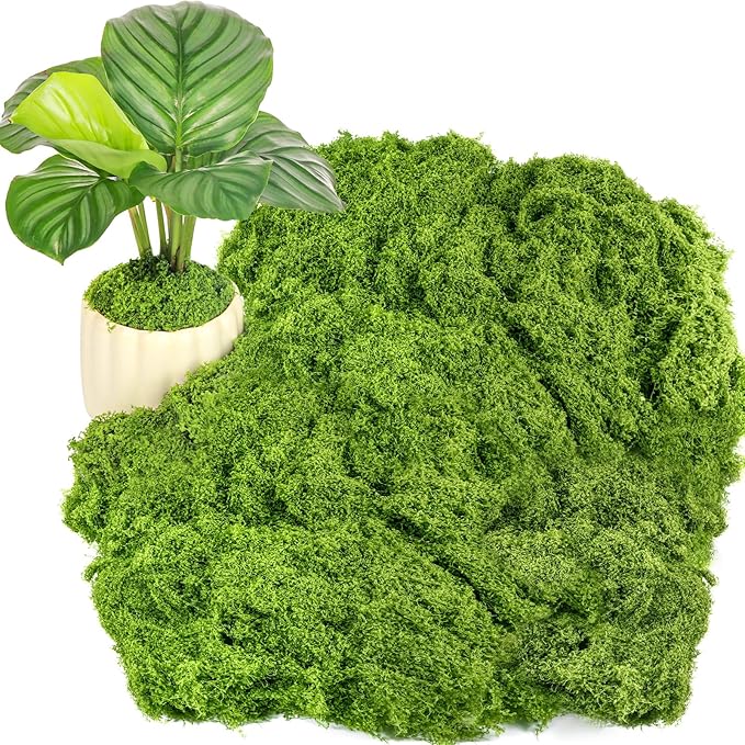 Draupnir Fake Green Moss for Potted Plants, 10.6OZ Fake Moss for Plants Indoor,Faux Moss for Crafts Artificial Moss Decor, DIY Decorative Moss for Fairy Garden Glass Containers Wedding (300g)