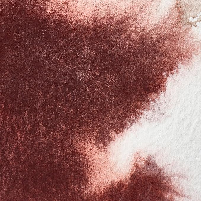 Winsor & Newton Professional Water Colour Paint, Half Pan, Caput Mortuum Violet