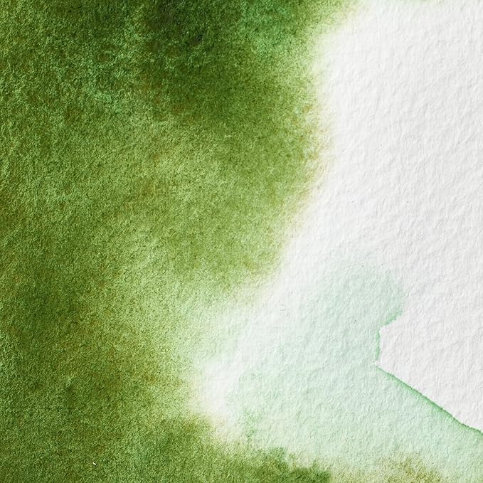 Winsor & Newton Professional Water Colour Paint, Half Pan, Permanent Sap Green