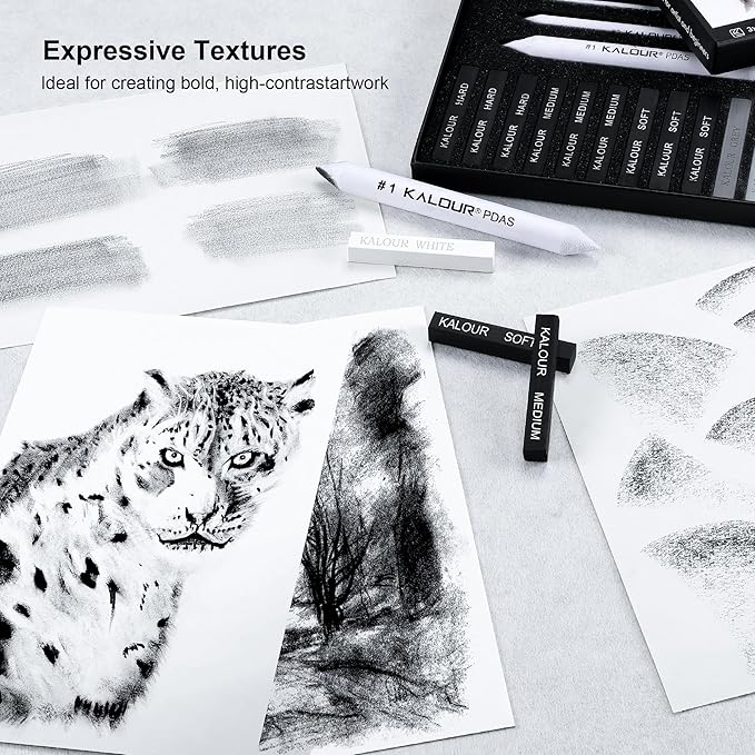 KALOUR 15 Pro Compressed Charcoal Drawing Set with Blending Stumps- Soft,Medium,Hard and White Charcoal - Charcoal Sticks for Drawing Sketching Shading - Art Supplies for Artists Beginners Adults