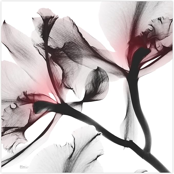 Empire Art Direct Frameless Free Floating Tempered Glass Panel Graphic Wall Art Ready to Hang, 24" x 24", Coral Luster